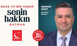 Batman Belediye Başkan Adayı Mehmet Onat Kimdir?