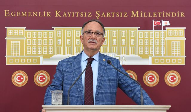 “İsrail’in Katliamlarına Karşı Devletler Düzeyinde Somut Adımlar Atılmıyor”