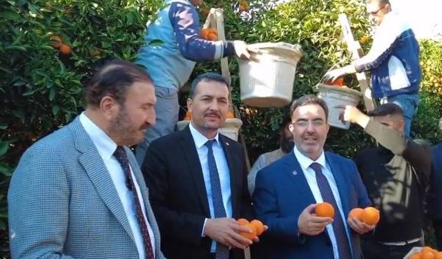 Antalya Büyükşehir Belediye Başkan Adayımız Bilgin: “Portakal Ağaçlarının Kesilmesine Müsaade Etmeyeceğiz”